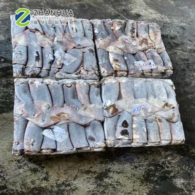 China Wholesale Block Peru Squid Frozen NATURE Jumbo Squid Raw Meat for sale