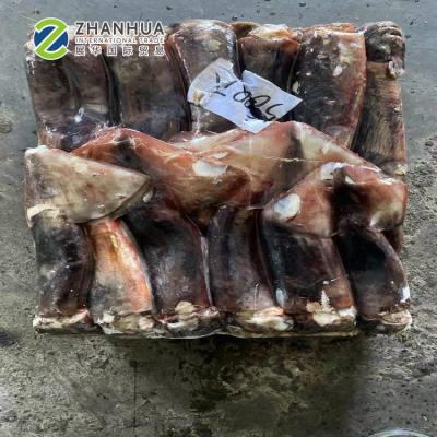 China Whole NATURE Giant Sea Squid Jelly Around BQF Good Quality 2-4kg Frozen Peru Squid for sale