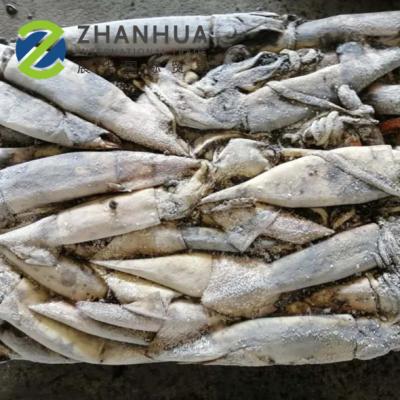 China Low-CARB North Pacific Raw Squid Ommastrephes Bartramii for sale