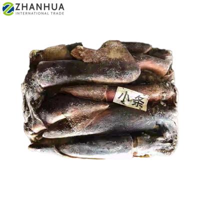 China Nutritious Equatorial Squid Whole Round Raw Frozen Squid 12.5kg Squid for sale