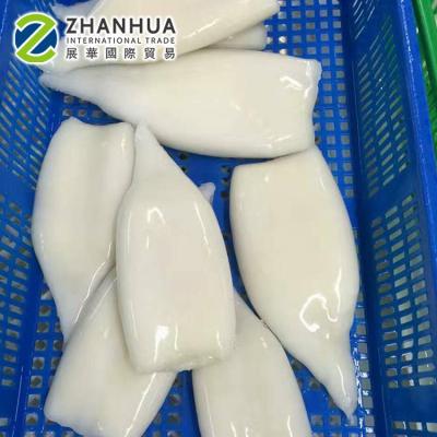 China NATURE Squid Tube Cleaned Sotong Frozen Tube Frying Calamari Malaysia for sale