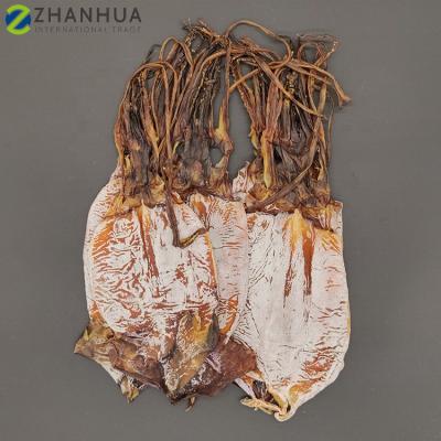 China Wholesale low sugar dry squid dry squid for sale