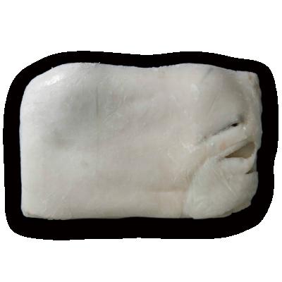 China Wholesale NATURE membrane on skin off giant squid bandages 2-4kg frozen squid fillets for sale