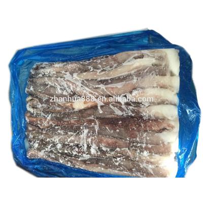 China Nutritious Frozen Giant Squid (Dosidicus Gigas) Long Tentacles With EU Certification for sale