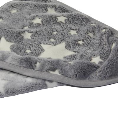 China Travel China Professional Manufacture Durable Thick Comfortable Pet Blanket With Light for sale