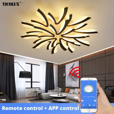 China New Modern Acrylic Outdoor Mounted LED Ceiling Lights Living Dining Room Kitchen Bedroom Indoor Lamps Lighting Fixtures With Remote AC 90-260V for sale