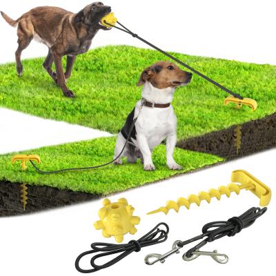 China Viable Outdoor Toy Belt Dog Lanyard Pet Traction Rope Elastic Molar Ball and Portable Tie Rod for Backyard Camping for sale