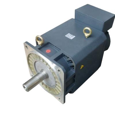 China Factory Golden Motor Driven Spindle Motor For Metal Cutting AC 3 Phase 2.2kw AC Electric Motor for sale