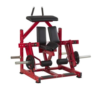 China Commercial Side Body Building Hammer Strength Gym Machine / ISO Gym Kneeling Leg Curl Machine for sale