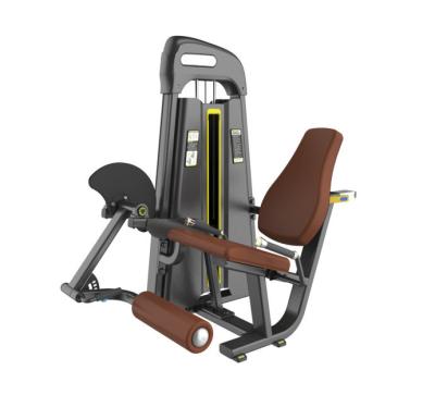 China Universal Leg Extension Gym Equipment Leg Training Equipment Seated Leg Extension Machine for sale