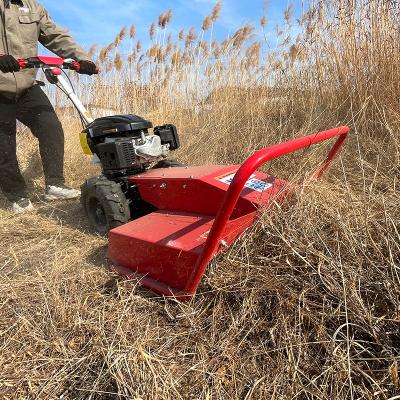 China 4-Stroke Grass Cutter Blade Trimmer Petrol Grass Brush Weed Cutter For Garden Park With Metal Comb Grass Curtain for sale