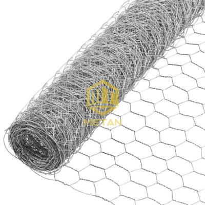 China 2 Inch Hexagonal Plain Weave Poultry Chicken Wire Netting Galvanized PVC Coated for sale