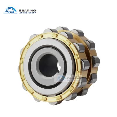 China SLGR MINB002 High Speed ​​Eccentric Bearing RN205 High Speed ​​Bicycle Bearing Cheap Price for sale