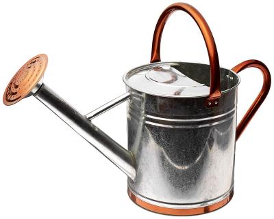 China Metal patterned watering can with stainless handles for sale