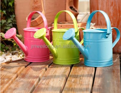 China Decorative Cute Small Metal Metal Kids Watering Watering Can With Handle Garden Storage for sale