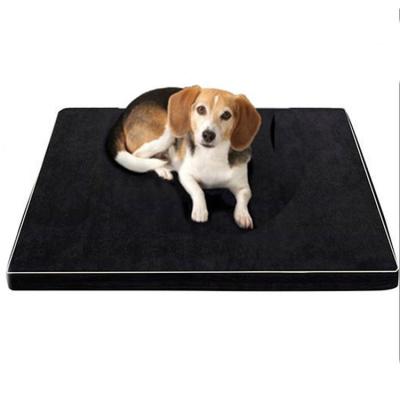 China Sustainable Warm Relax Memory Foam Dog Bed Pet Bed for sale