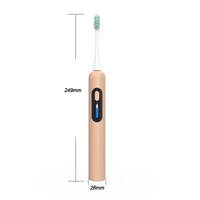 China Various ABS Promotional Goods Using Sonic Electric Toothbrush With Battery Charger for sale