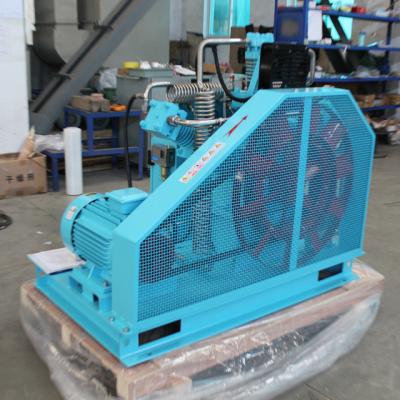 China 1-3m3 de groene compressor van de olie vrije zuurstof voor het systeem van de het ziekenhuiszuurstof Te koop