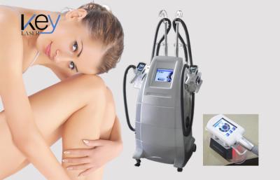 China RF Beauty Cryolipolysis Slimming Machine Lipo Laser Cellulite Reduction for sale