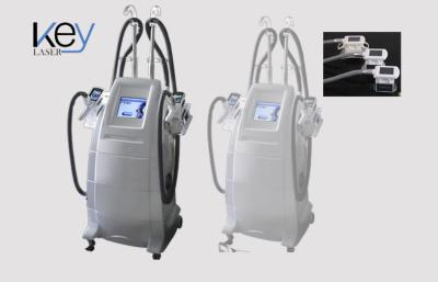 China Cryolipolysis Body Shaping Physical Therapy Machine With 2 Cryo Heads for sale