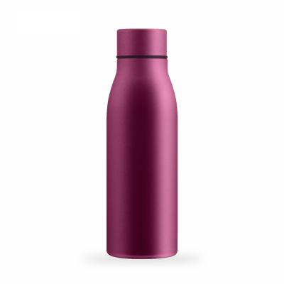 China 450ml 500ml PORTABLE Girls Thermal Insulation Stylish Smart Water Cup Bottle Led Digital Lights Flaks Filter for sale