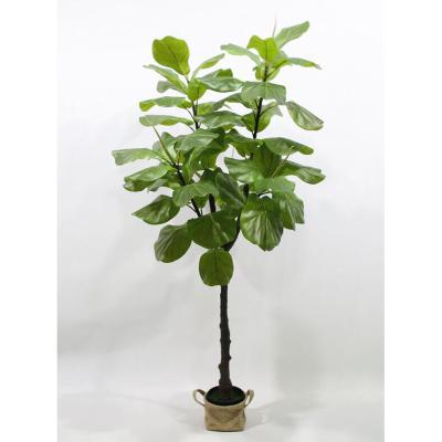 China Hot Selling Real Touch Real Touch Fake Amazon Tree Artificial Silk 6ft Ficus Tree For Indoor Home Decor for sale