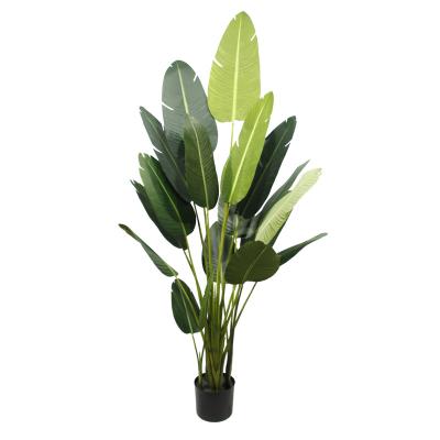 China New Design Realistic Wholesale Indoor Bonsai Plants Artificial Tall Traveler's Palm Tree With Banana Trees for sale