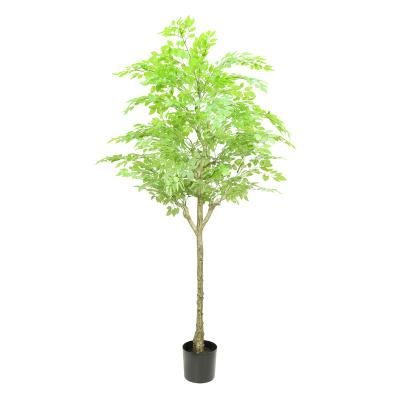 China China Natural Popular Artificial Giant Plastic Silk Plant Touch Carob Tree With Fake Tree Leaves for sale