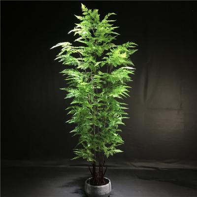 China High Simulation Fern Leaves Tree For House Factory Direct Sales Artificial Realistic Plastic Bonsai Tree for sale