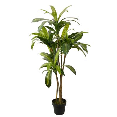 China Traditional Realistic Dracaena Fragrans Fake Plant Tree For Christmas Home Decoration for sale