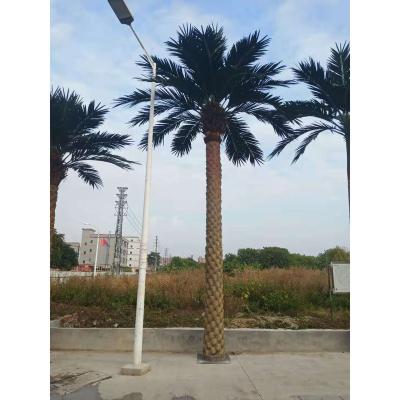 China Durable Factory Customized Big And Tall Artificial Date Palm Trees For Outdoor Garden Beach Landscaping Decor for sale