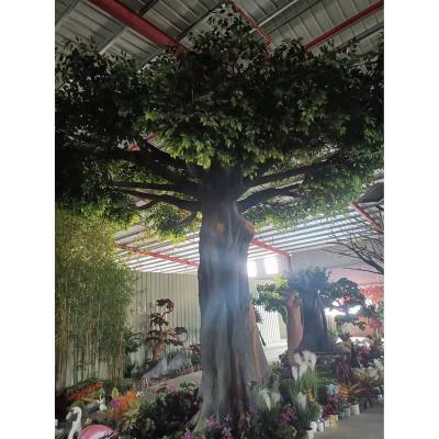 China Realistic Fake Banyan Plants Hotel Fiberglass Large Plant Customized Decorative Ficus Tree For Outdoor Wedding for sale