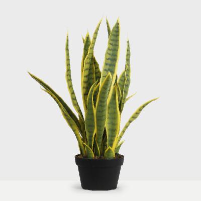 China 65CM Indoor Succulent Fake Mother of Law Bonsai Trees Almost Natural Lifelike Fake Tongue In Pot Sansevieria Artificial Snake Plant for sale