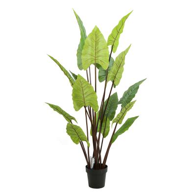 China Natural Direct Large Fake Taro Plant Greenery Bonsai Dongguan Plant Contact Factory Supply 160cm Rainbow For Home Decor for sale