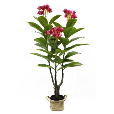 China Plant Direct Selling Small Delicious Faux Bonsai Plants Plumeria Plumeria Rubra Acutifolia Flower Potted Tree For Party Home Decor for sale