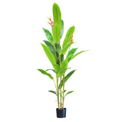 China Hot Sale 170CM Real Natural Big Fake Touch Strelitzia Artificial Touch Bird Paradise Plant Bonsai For Home Office Living Room Decor for sale