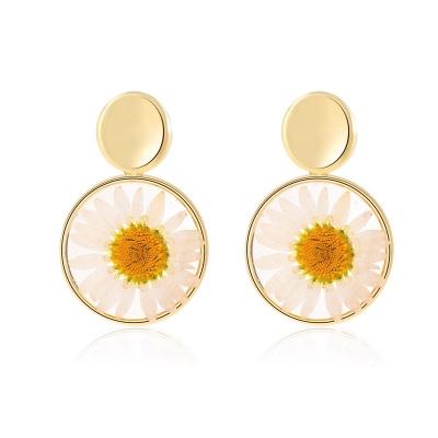 China Daisy Sunflower Round Dangling Stud Earrings Elegant Delicacy Modern Minimalist Fashion/Vintage Jewelry Factory Eco-Friendly Natural Design for sale