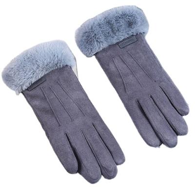 China Suede Plus Ladies Warm Fleece Autumn And Winter Touch Screen Gloves DY-G02 for sale