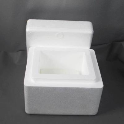 China Mini Small Portable Refrigerator 4L Ice Packs Cooler Cold Chain Box Waterproof for sale