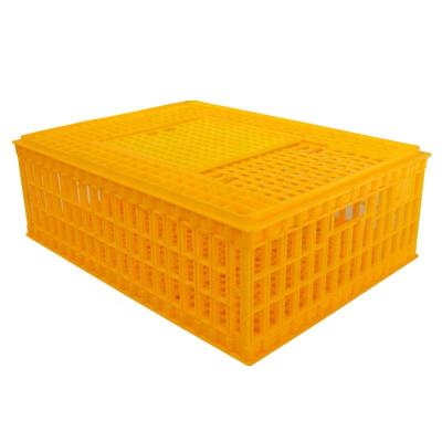 China High Quality Plastic Live Chicken Crate Poultry Farms Transport Cage Turkey Transport Cages for sale