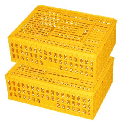 China Farms Turkey Transport Cages For Poultry Farm Transport 10 Plastic Chicken Transport Crate for sale