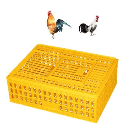 China High quality plastic farms transport bird cages for live chickens/chicken transport cages/poultry transport crate for sale