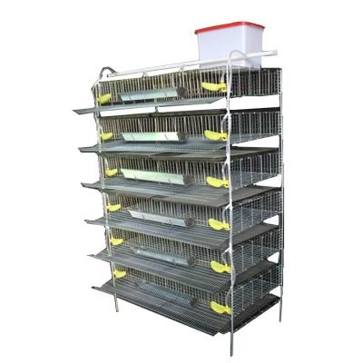 China Durable Wholesale Cage Breeding Quail Cages Large Quality Chicken Cages For Sale for sale