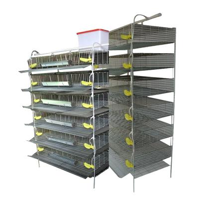 China Factory Wholesale Price Durable Quail Cage Made In China Low Price for sale