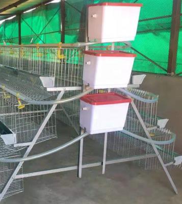 China Easily Clean Hot Sale Layer Chicken Cage For Kenya / Nigeria / Tanzania / Uganda Farm for sale