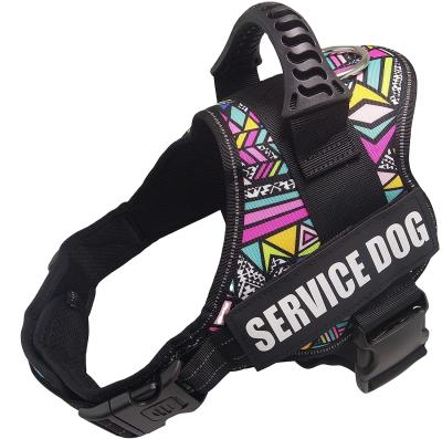 China DETACHED Pet Vest Walking Accessories Pet Dog Training Adjustable Harness for sale