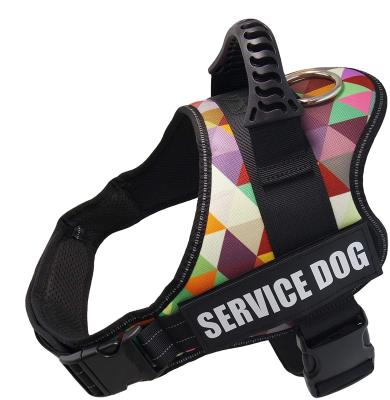 China DETACHED Walking No Pull Outdoor Adjustable Training Dog Harness for sale