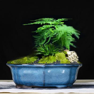 China Haus-und Garten-Topf-, u. keramische Bonsai-Innentöpfe im Freien, Pflanzer, glasig-glänzende Bonsai-Töpfe GH6001 stellten 2 ein zu verkaufen