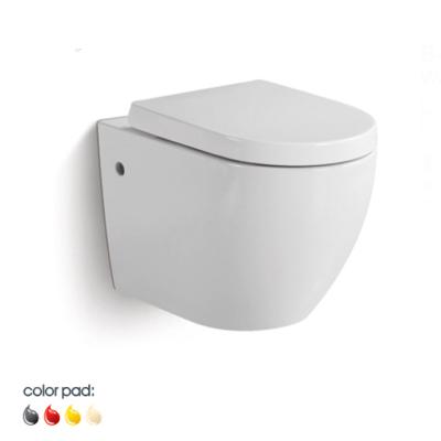 China Hot Selling Double-flush Prices Cheap Washdown Ceramic One Piece Wall Mounted Toilet for sale