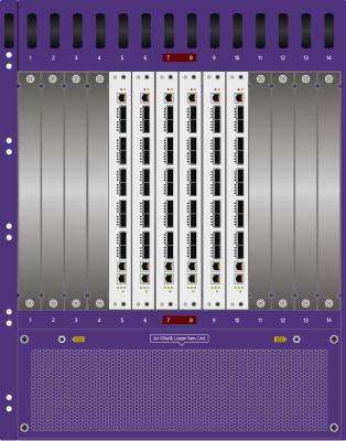 Cina Il mediatore del pacchetto di bloccaggio del traffico di rete della matrice inserisce il modulo per la raccolta di traffico di Data Center in vendita